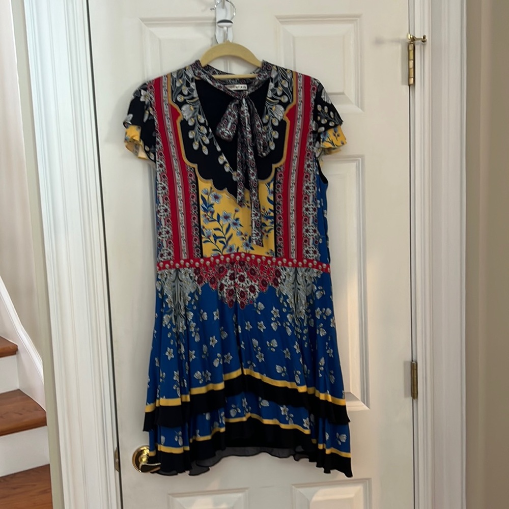 Alice and Olivia dress, size S